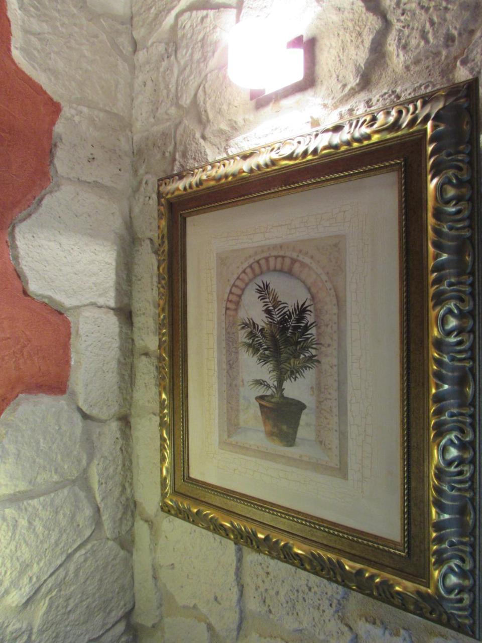 Résidence Royal Palmeraie Aubagne Esterno foto